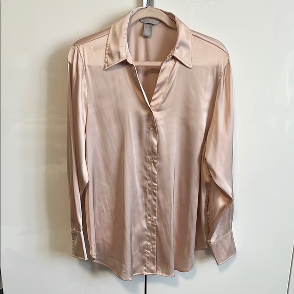H&M Tops - NWOT H&M Soft Pink Satin Effect Button-Up Blouse, Size L